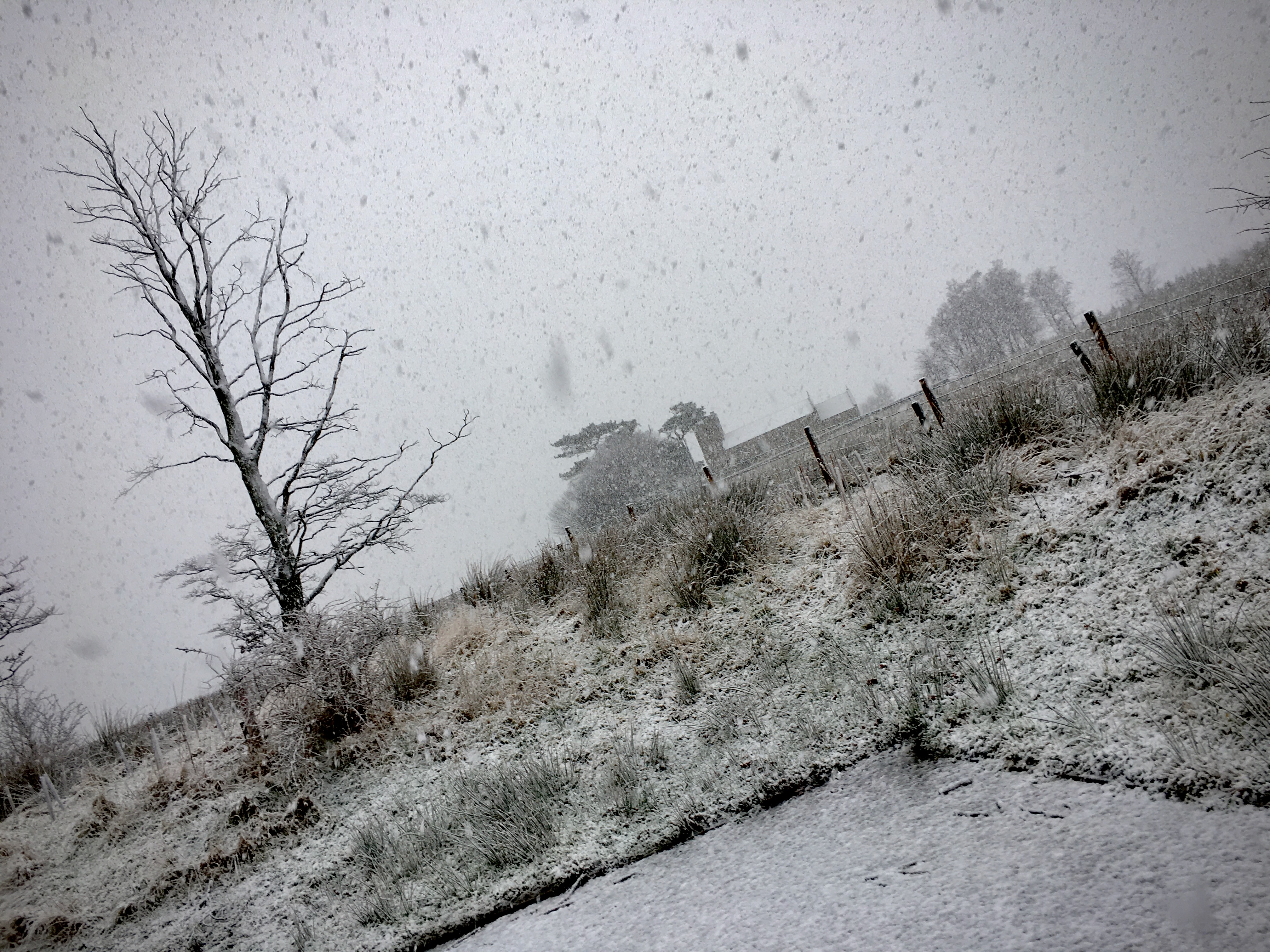 Heavy snow falling in the countryside.