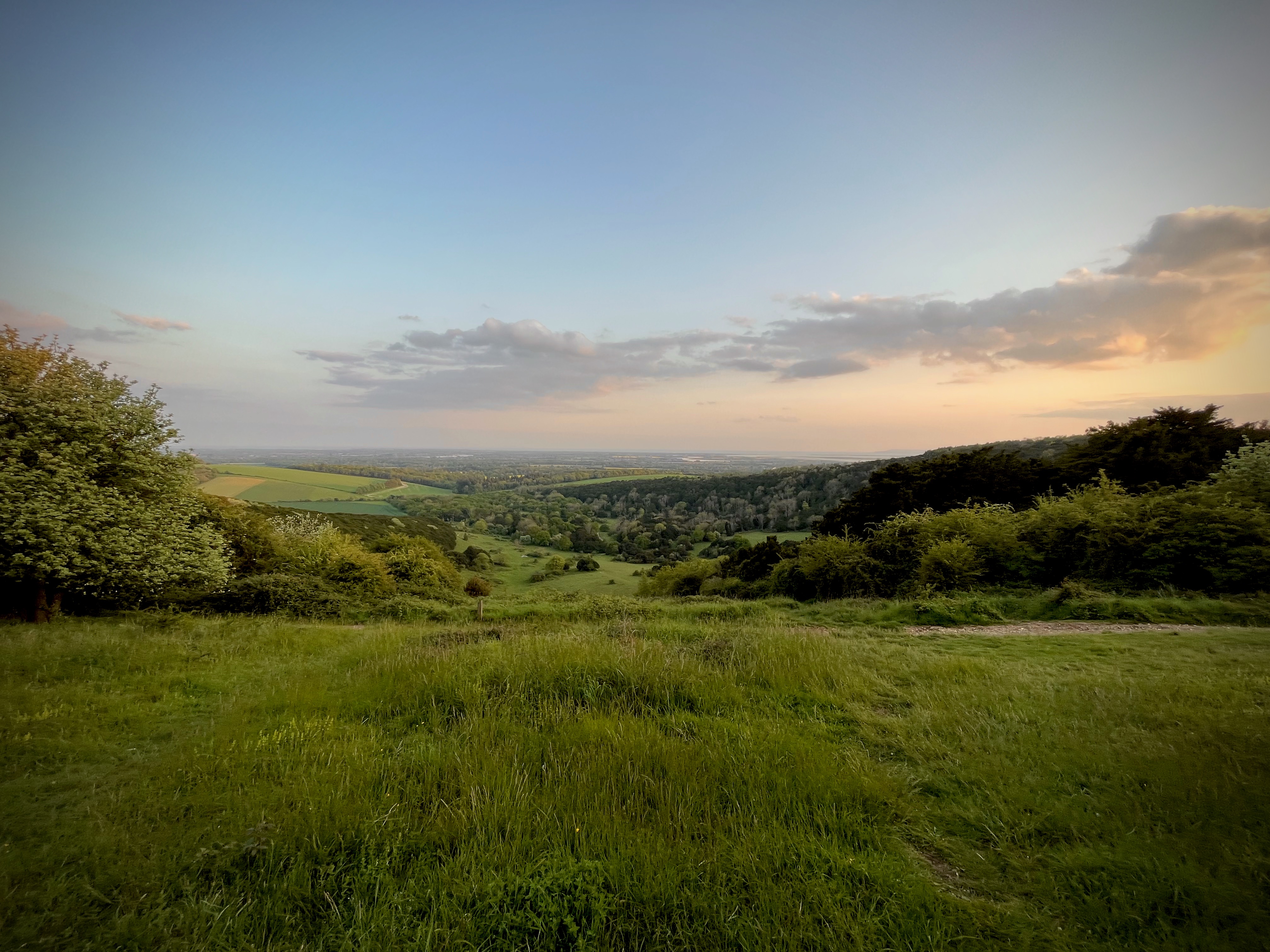 Lush green countryside.