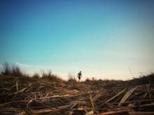 A runner on the horizon approaching a trig point.